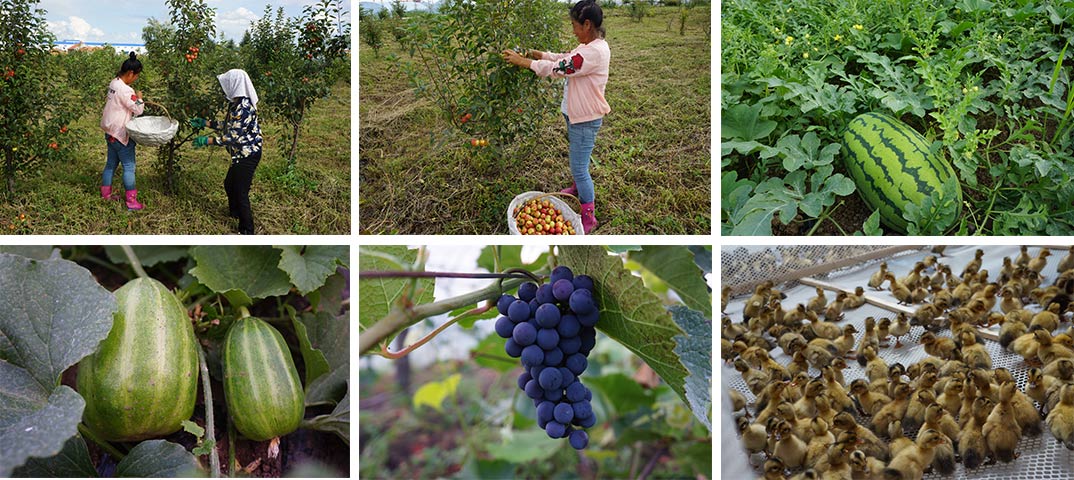 1711004426500487.jpg 3.jpg